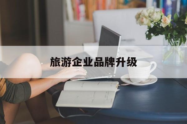 驻马店市旅游企业品牌升级(旅游企业品牌升级措施)