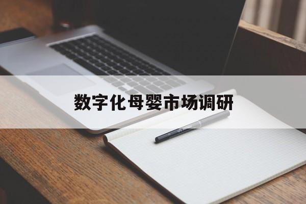 驻马店市数字化母婴市场调研(数字化母婴市场调研报告)